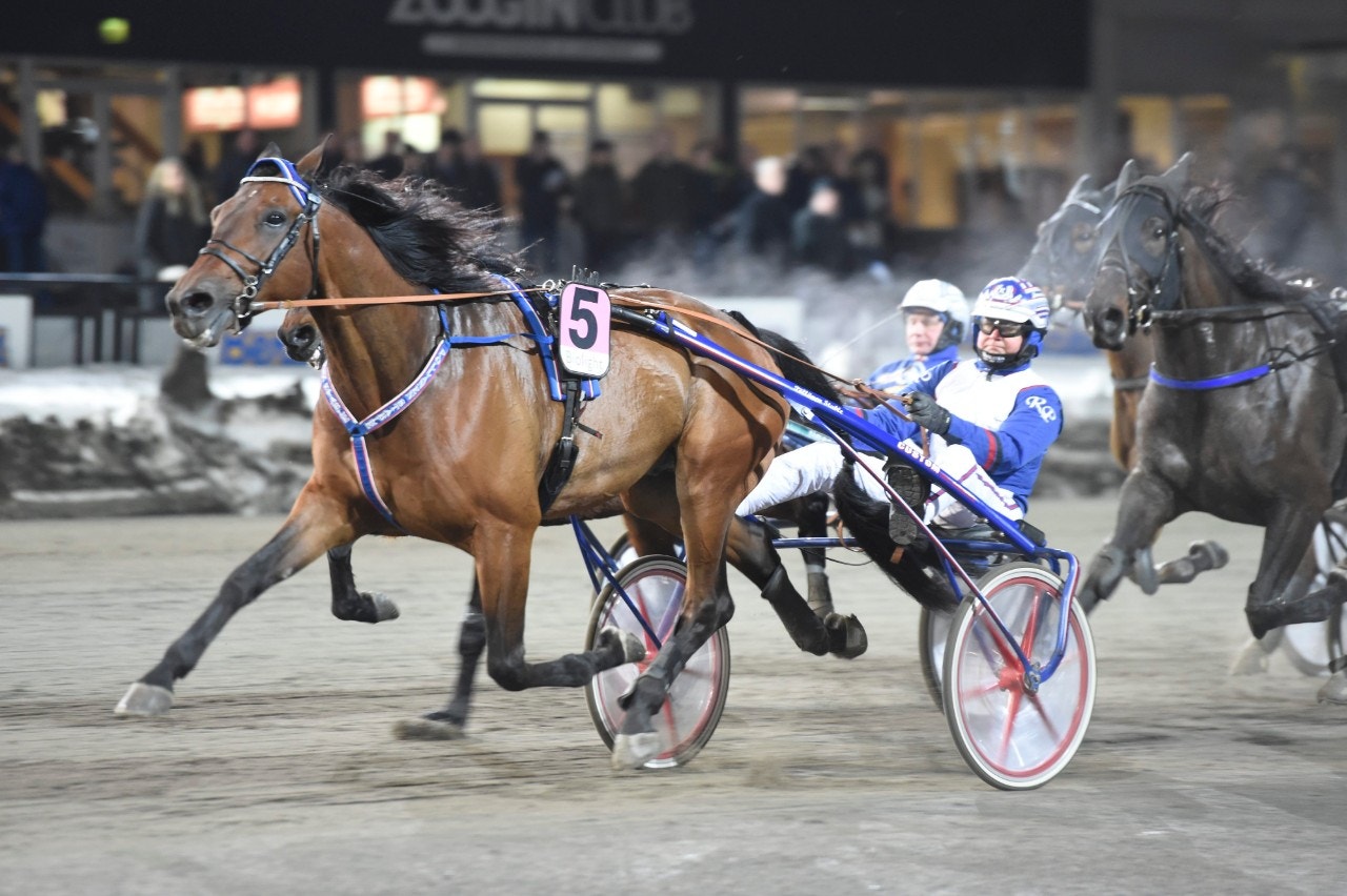 Tips Hagmyren 24 maj: Dags för Västerbo Grosbois
