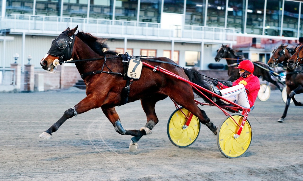 Disco tog snabb revansch