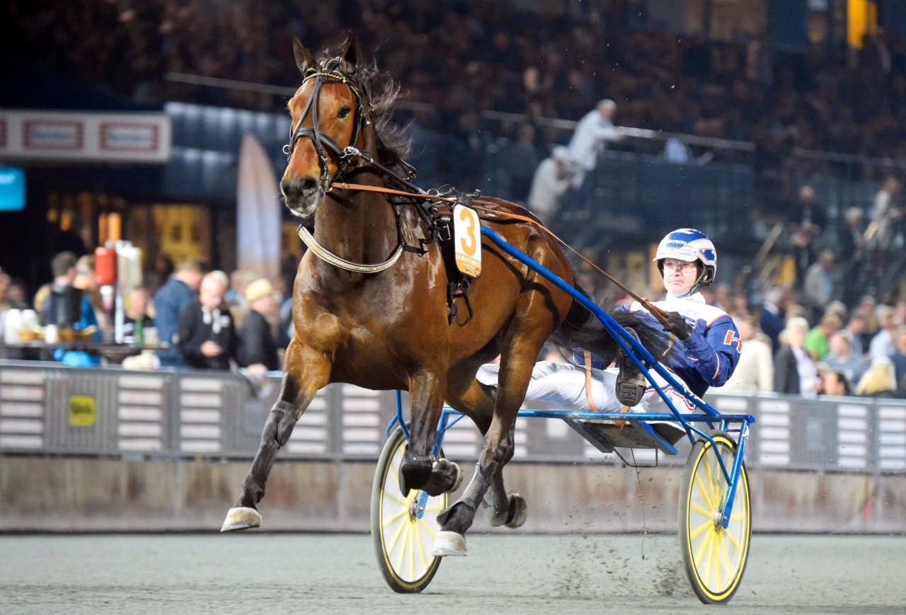 Donatomite flyttas till Paw Mahony. Foto: ALN