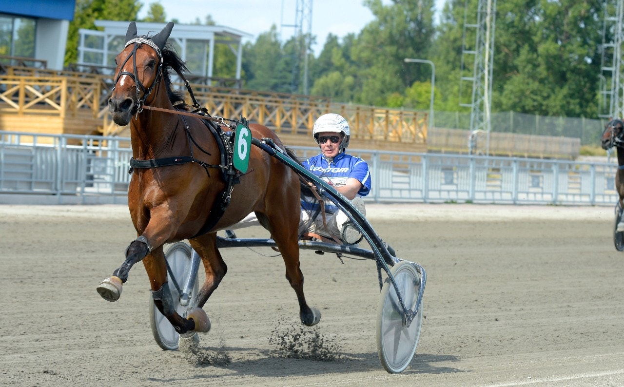 Västerbo Pokerface är spelet som gäller i avslutningen. Foto: Martin Langels, ALN