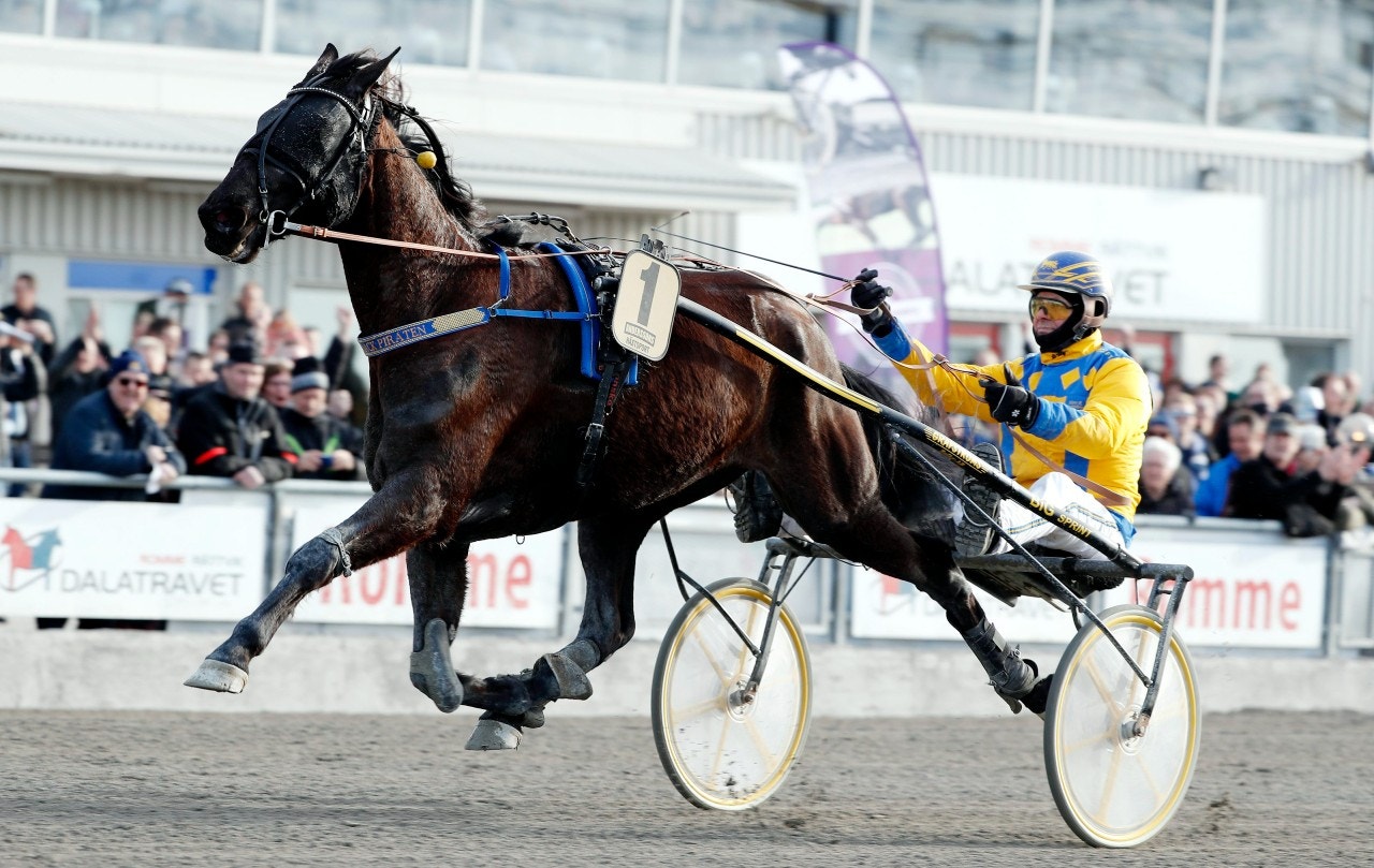 On Track Piraten - en vinnare även som tolvåring. Foto: Micke Gustafsson, ALN