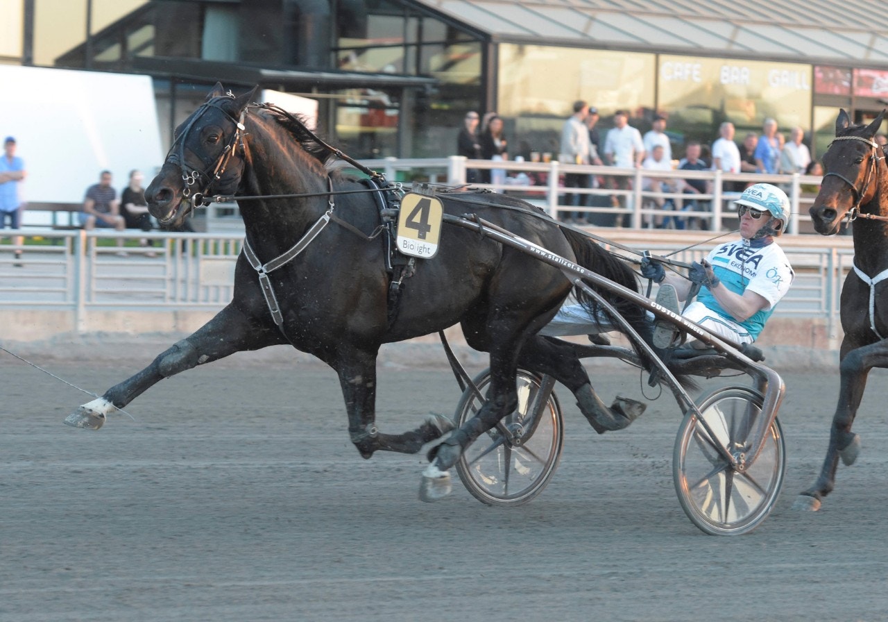 El Diablo B.R. i lopp för Örjan Kihlström. Foto: Leif Norberg, ALN