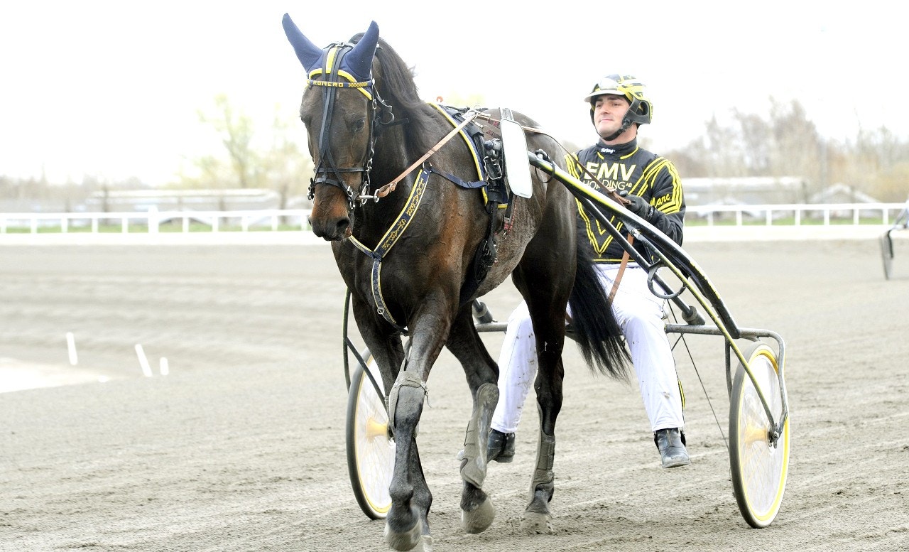 Jägersro/Solvalla 9 december: Hela vägen på bästa vinnaren!