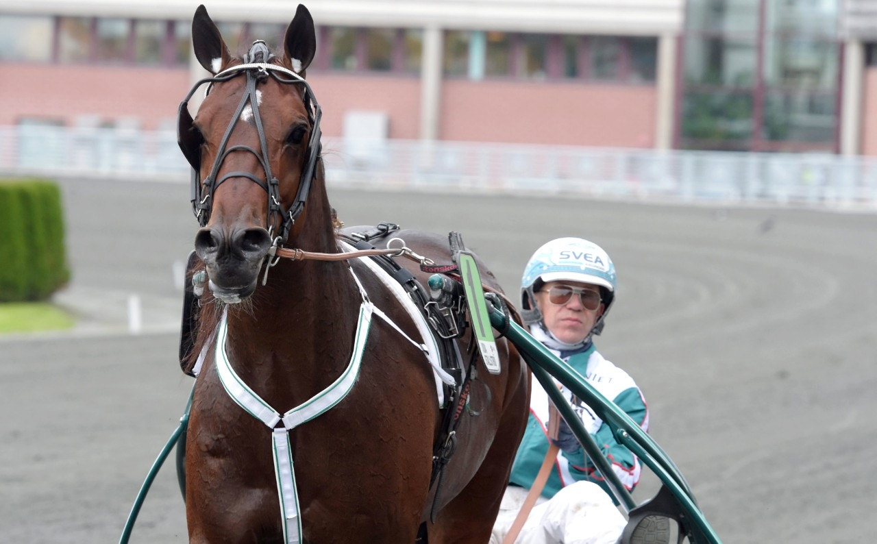 Who's Who på Färjestad