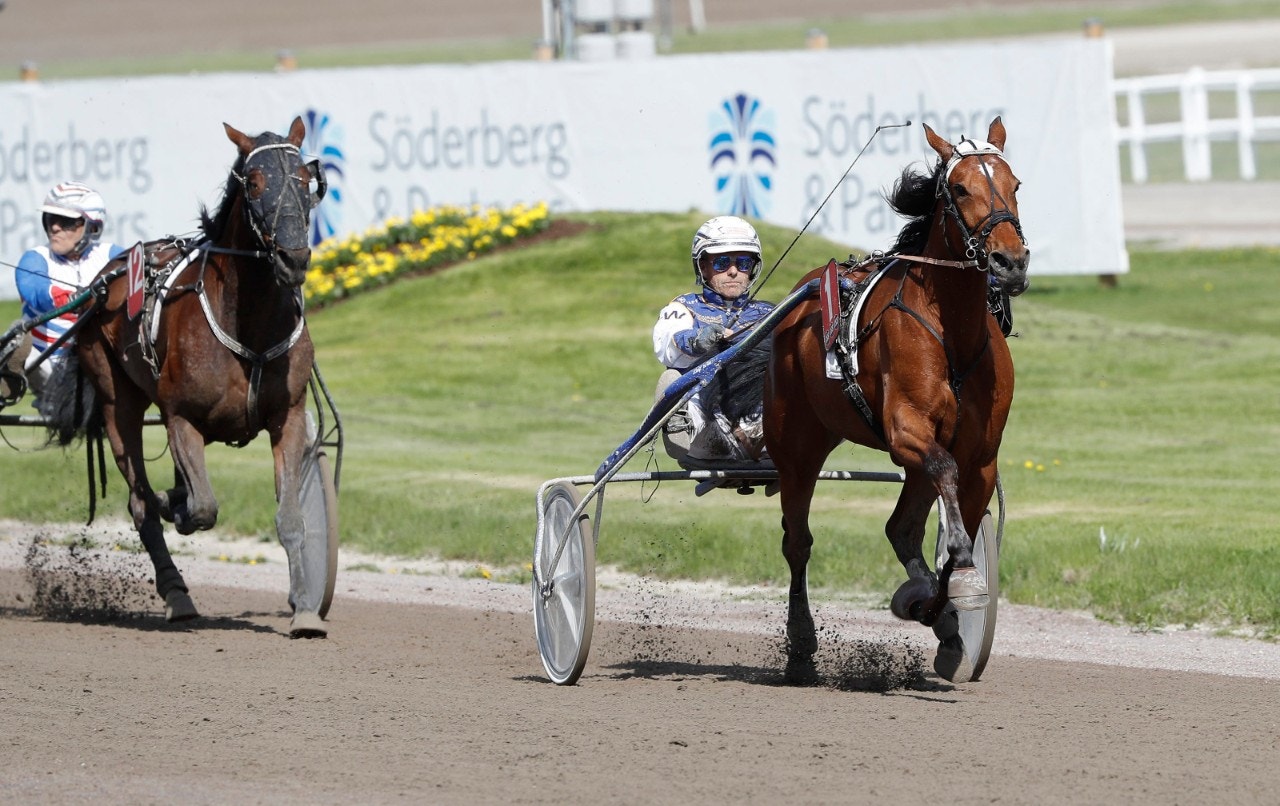 Två hästar omkom efter träningsolycka