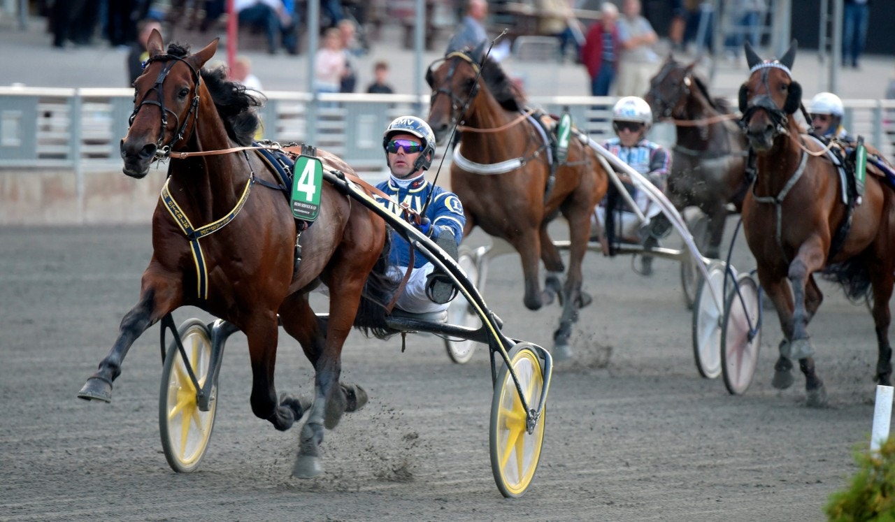 Gulfstream Am lämnar motståndet därhän på Solvalla. Foto: Martin Langels, ALN