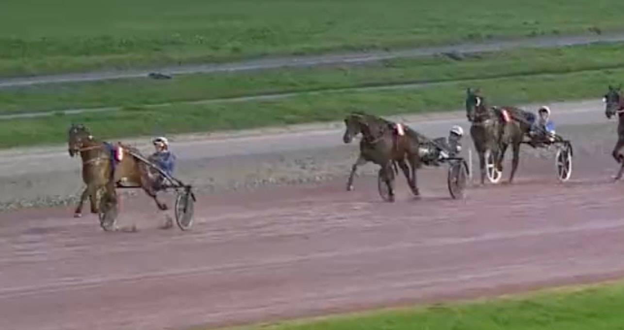 Andra raka för Kingslayer Pellini