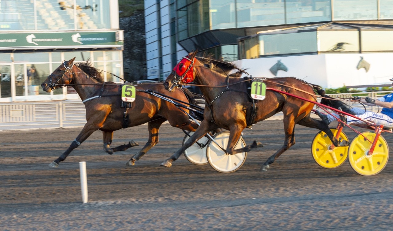 Solvalla: Racing Brodda visade segerform igen