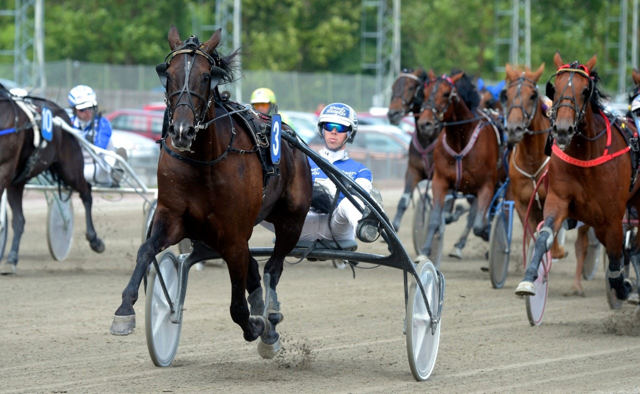 Hakon von Haithabu ska ses med bra chans i dagens avslutning. Foto: Martin Langels, ALN