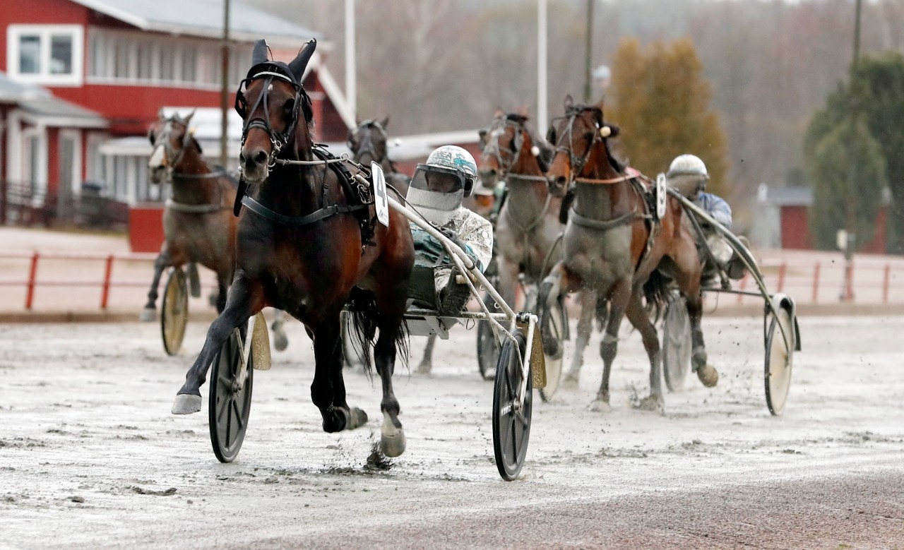 Missle Hill lämnade motståndet med många längder. Foto: Micke Gustafsson, ALN
