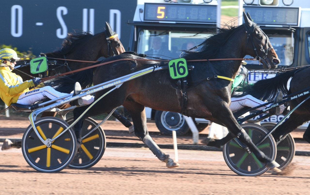 Earl Simon gjorde en strålande comeback när han segrade i Prix des Ducs de Normandie. Foto: Gerard Forni, Scoop Dyga