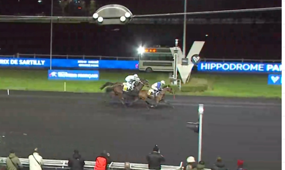 Vincennesvinnaren till salu – dräktig med Elitloppsvinnaren