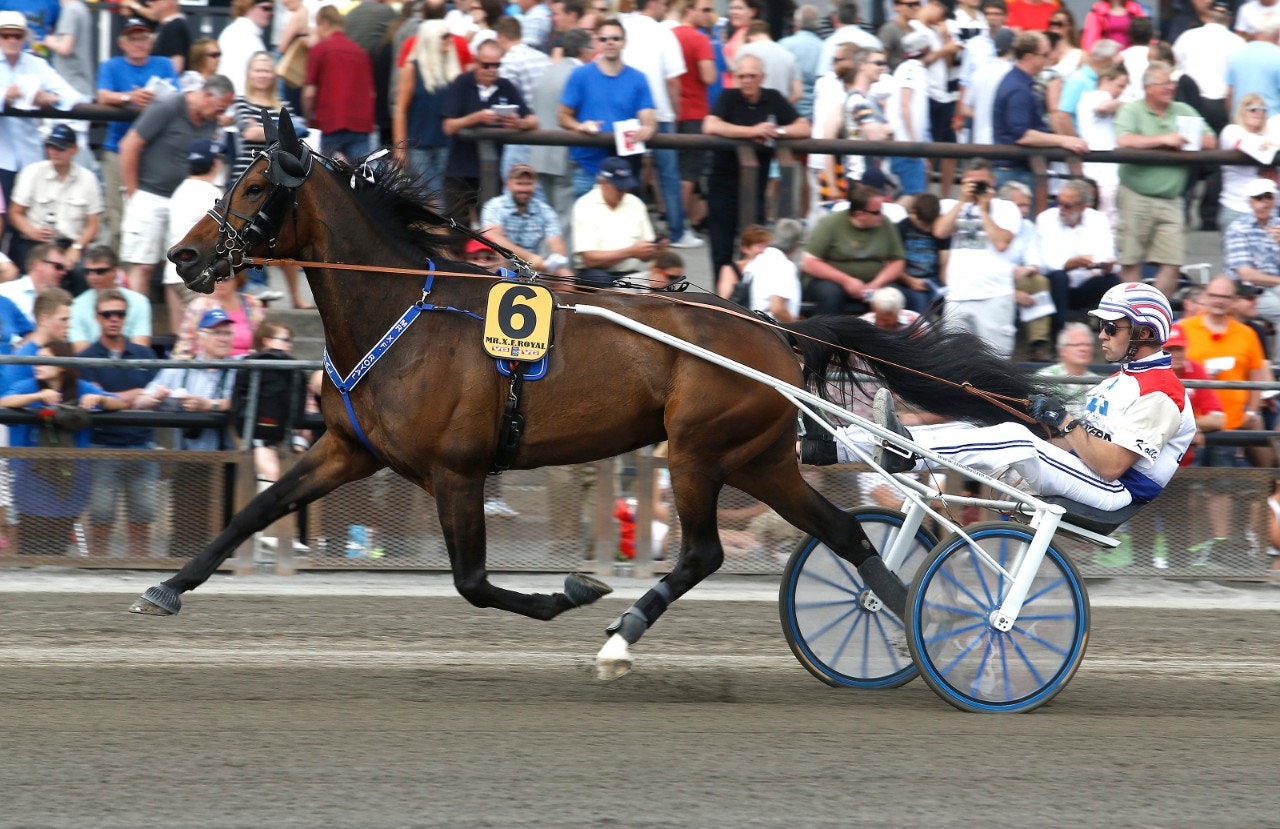 Norske trippelmiljonären död