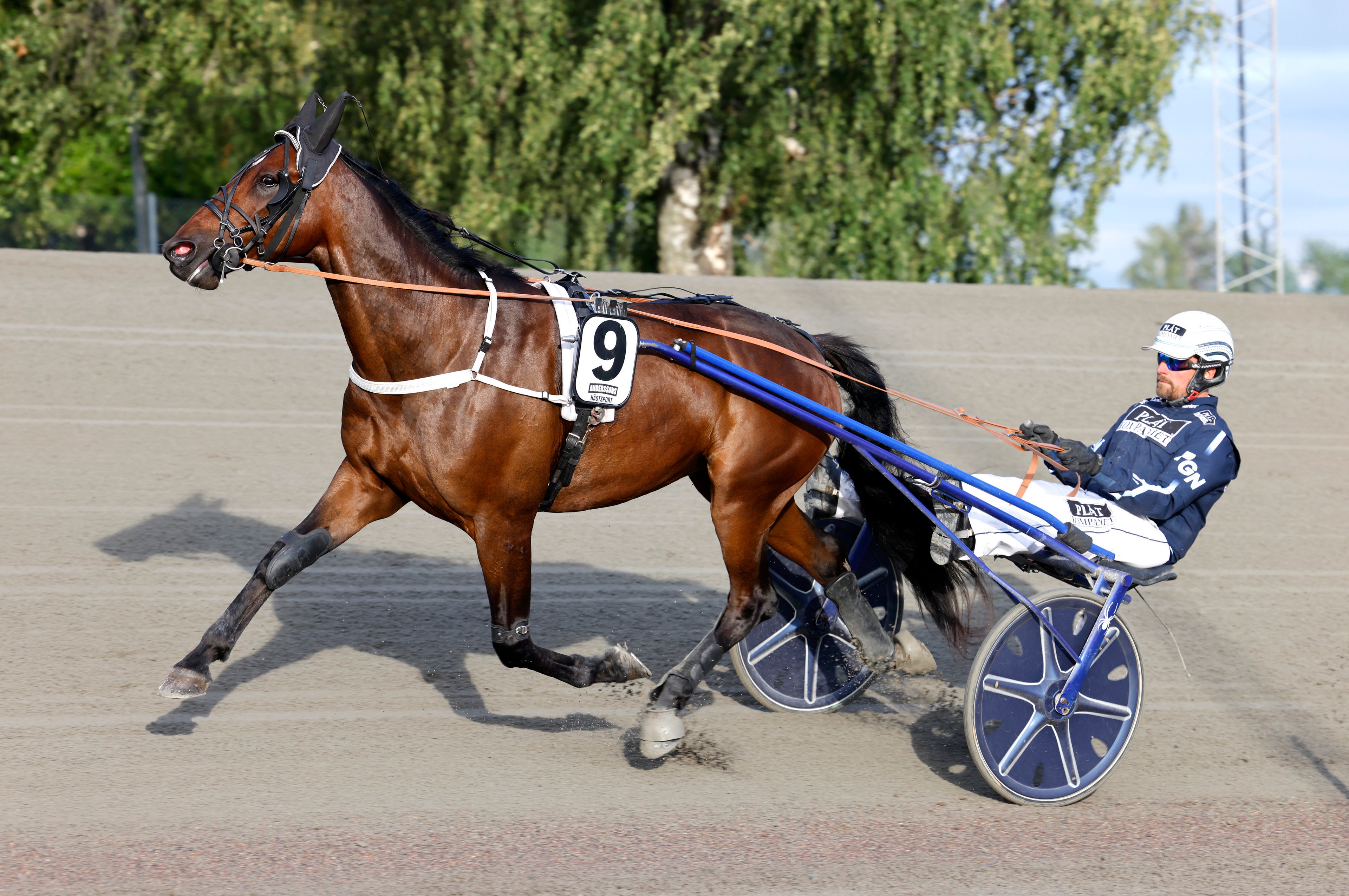 Auktionsköp har fått ny tränare