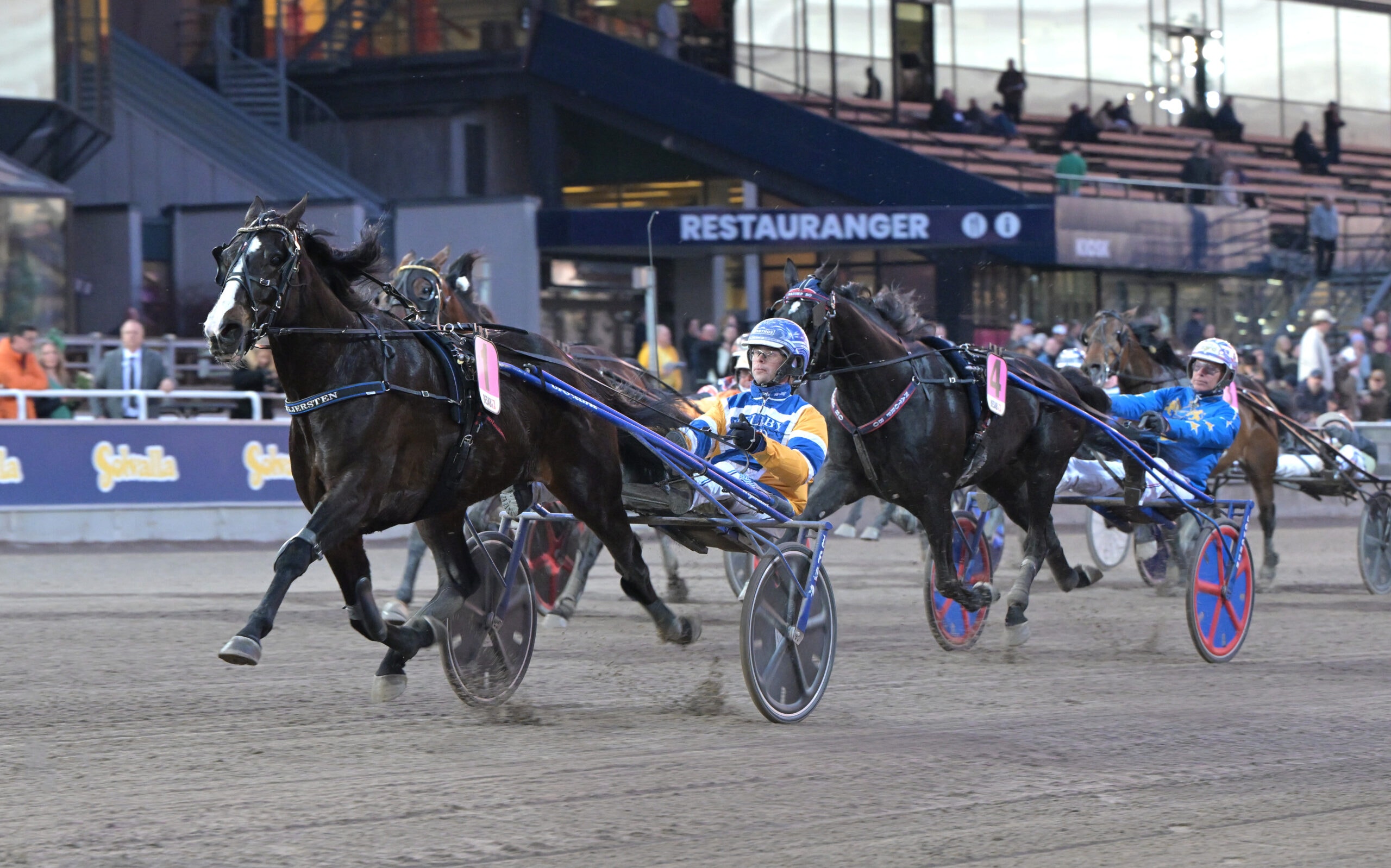 V85-tips: Topphästar möts – han är vinnaren