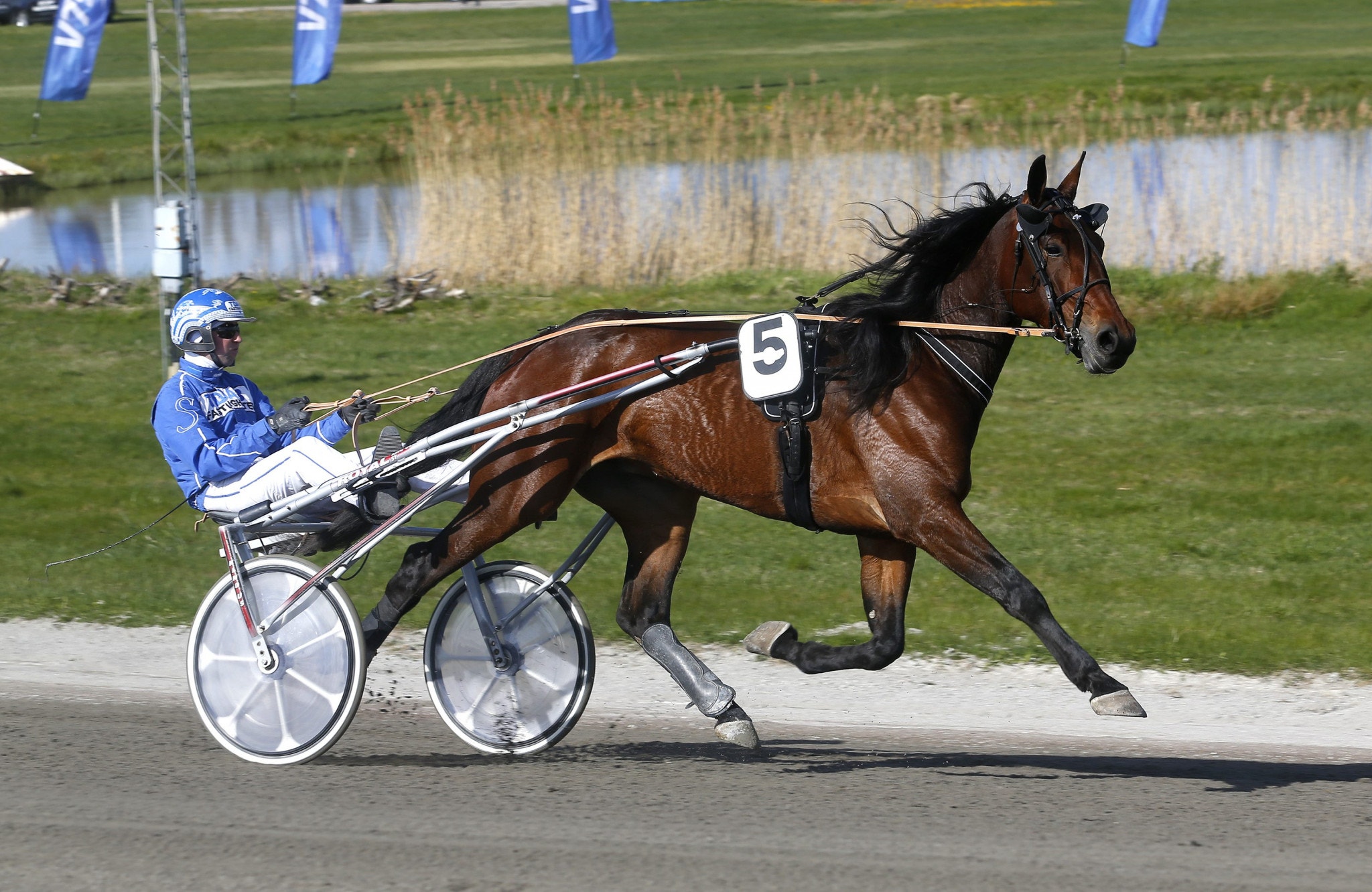 Solänget 7 September: Det är dags för Mr Clayton J.F!