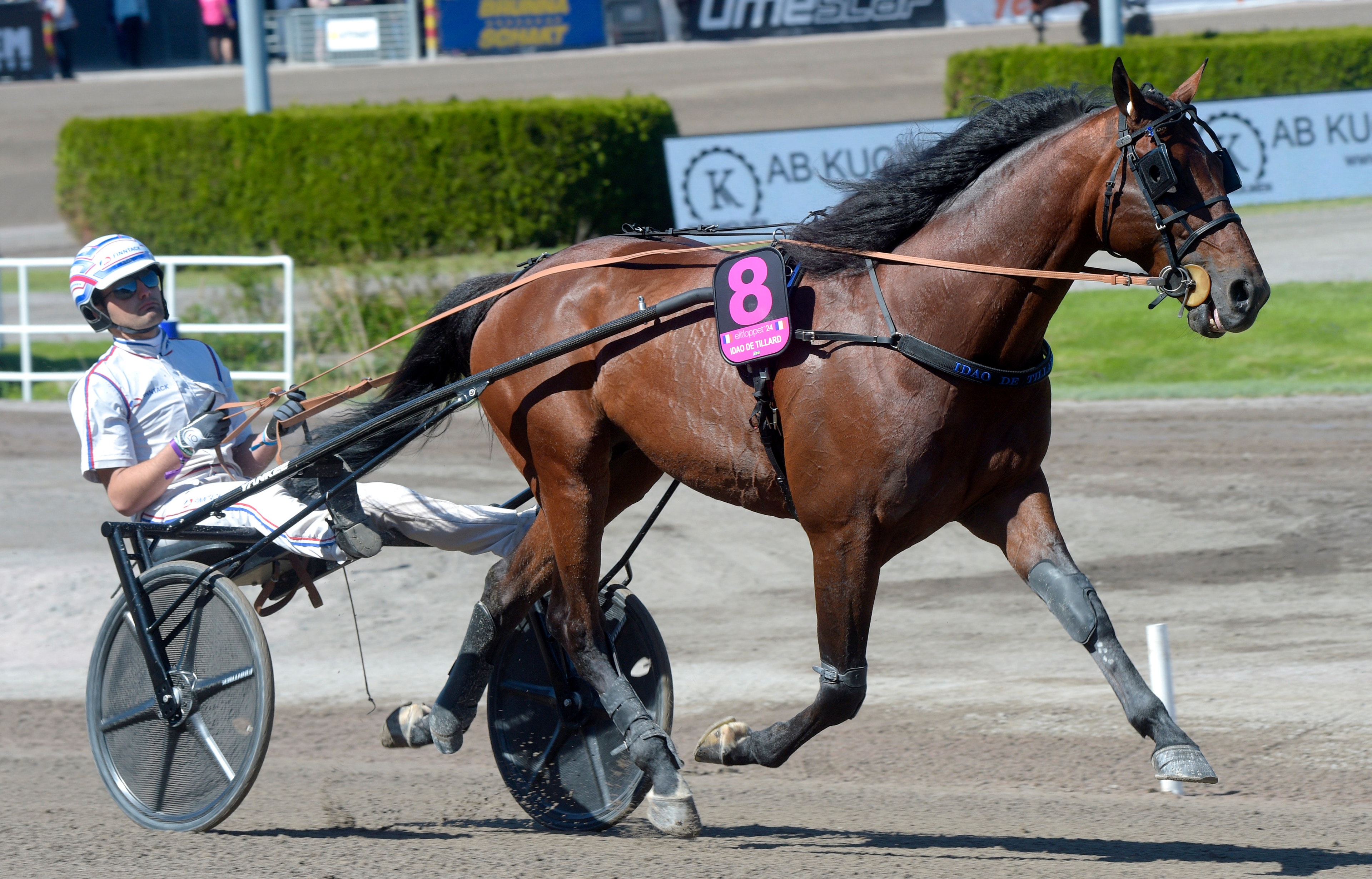 Duvaldestin: "Elitloppet är inte aktuellt just nu"