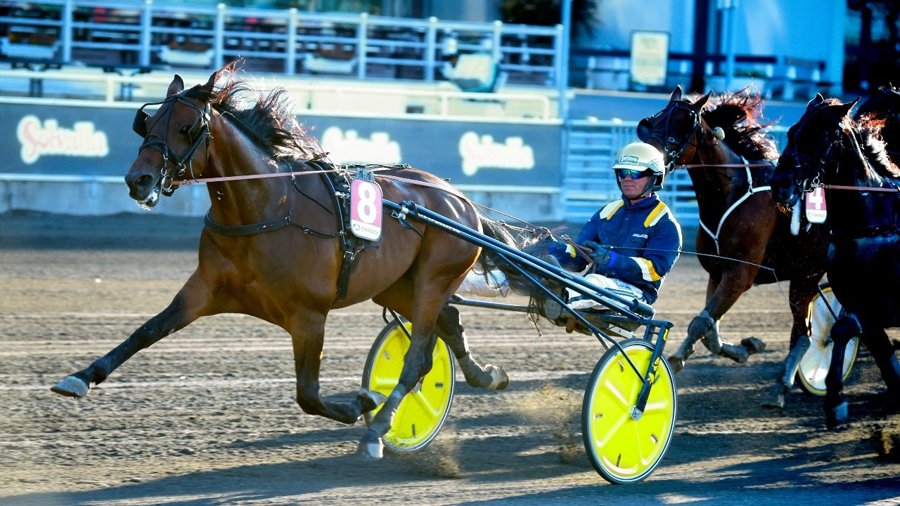 Click Bait tog andra raka för året - och segrade på 1.09,9. Foto: Martin Langels, ALN