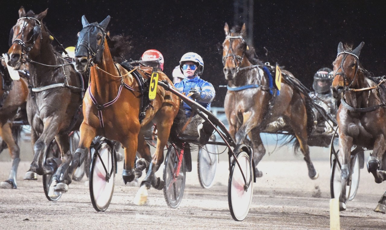 Jägersro/Solvalla 21 oktober: Wäjersten med sisu i avslutningen!