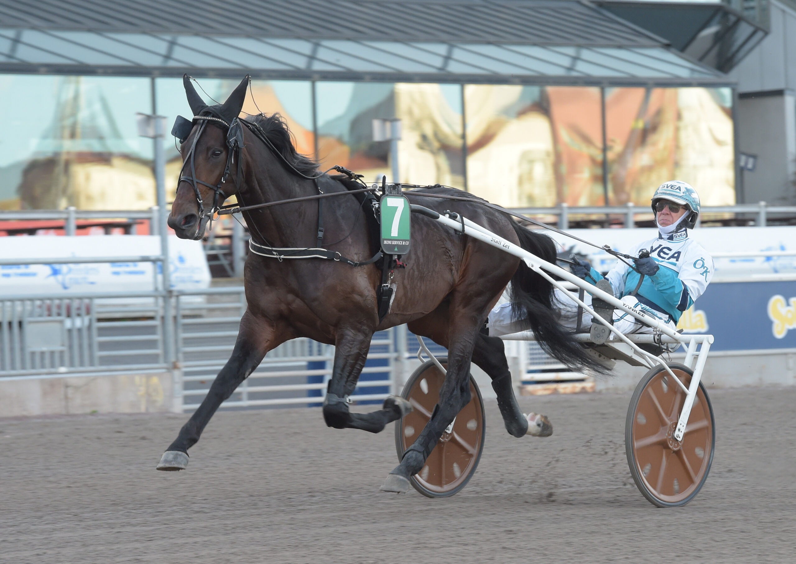 Foto: Lars Jakobsson / TR Bild.