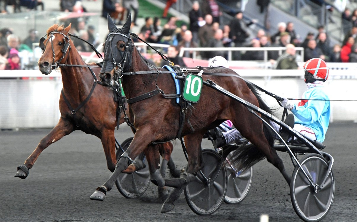 Bazires treåringsstjärna död - föll ihop under träning