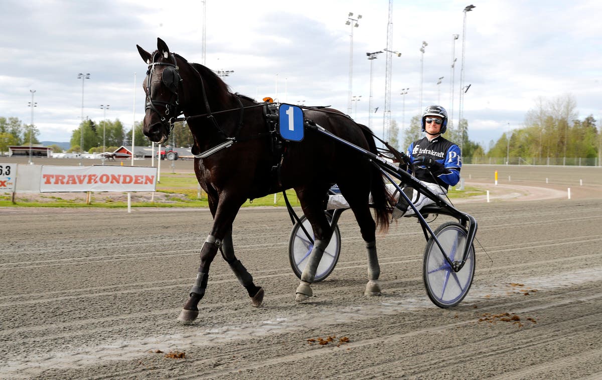 Patrik Fernlund