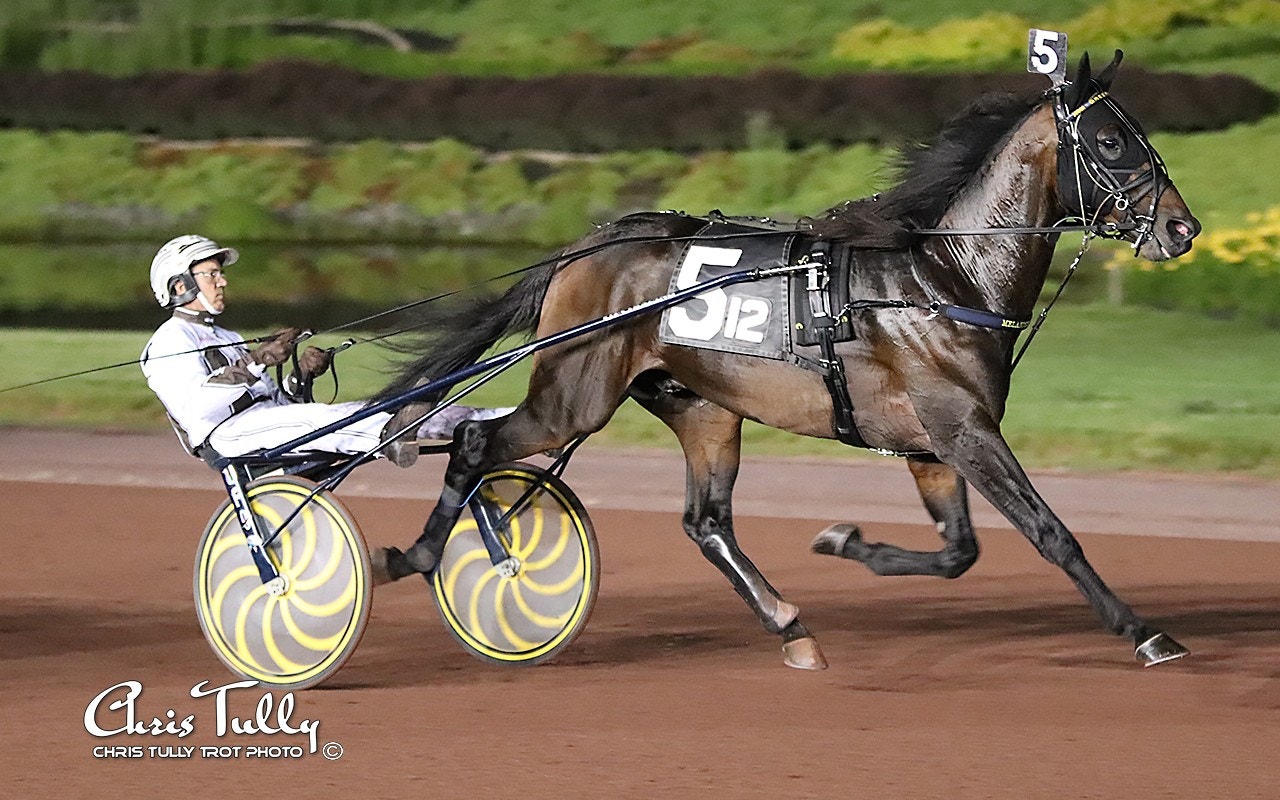 Greenshoe är favoriten när det drar ihop sig till Hambletonian. Foto:  Chris Tully, christullytrot.com
