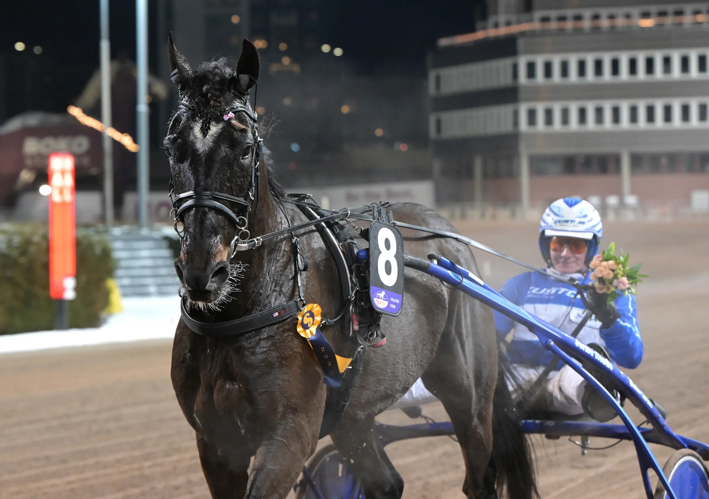 V86: Toppkuskens första seger i anrika loppet