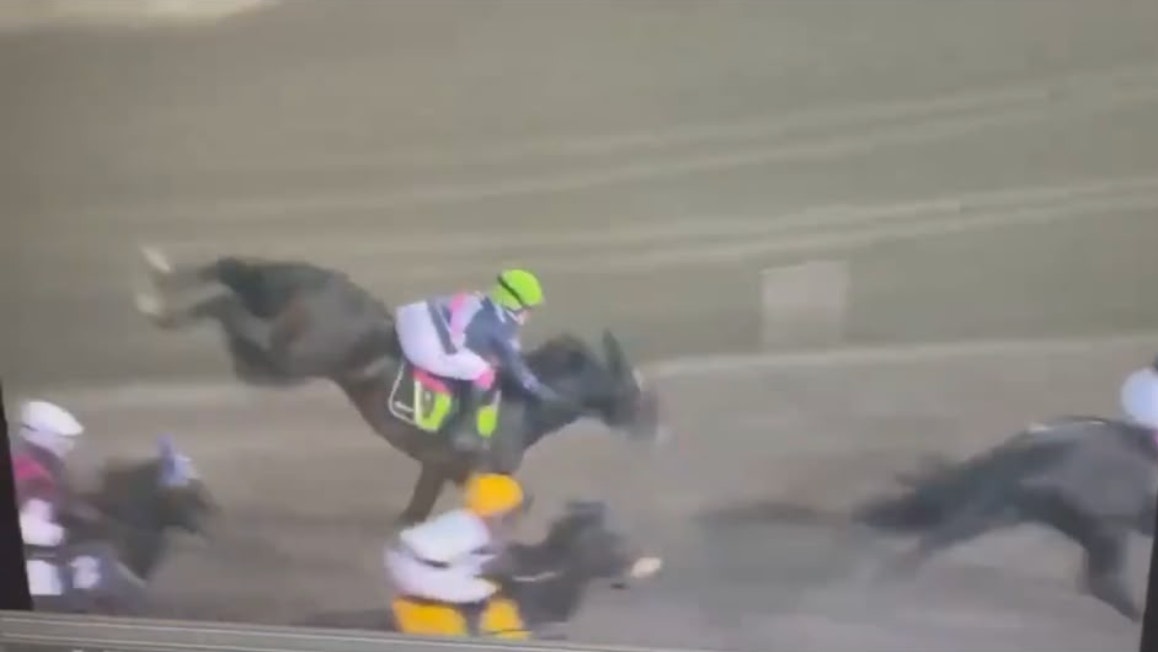 En häst snubblar och jockeyn faller av under ett travlopp.