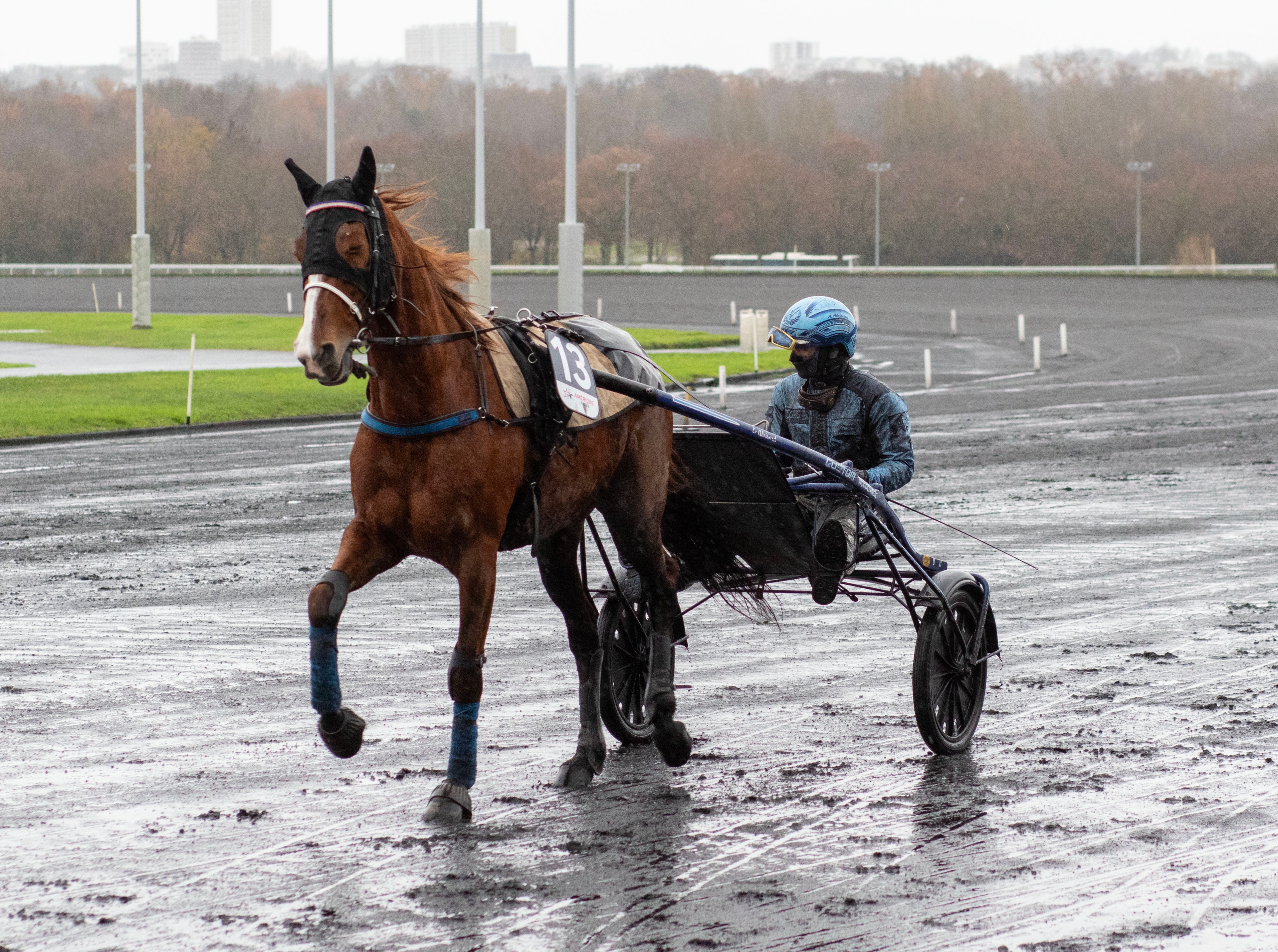 Plötsliga beskedet: Stjärnan till avel – oväntade valet