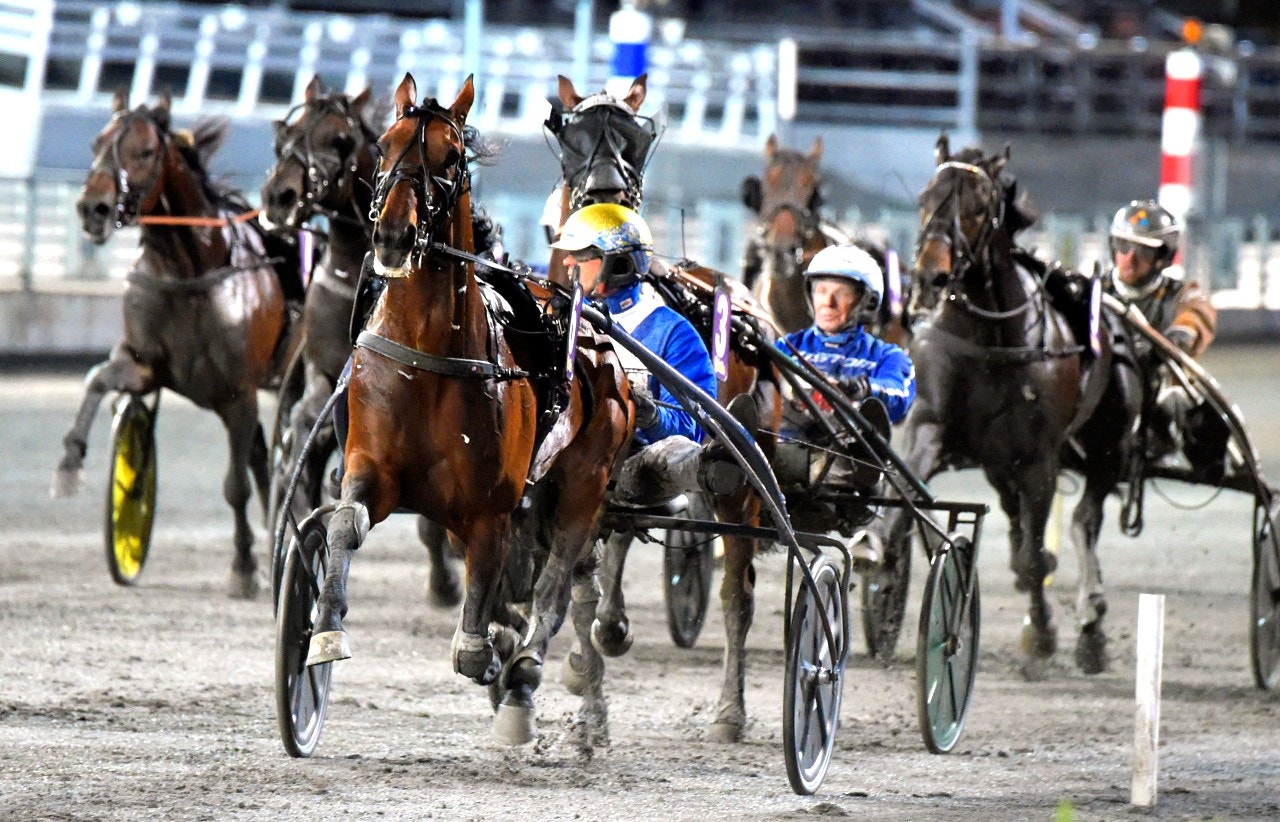 Ecurie D. ska ta upp segerraden igen då han går ut i lördagens Axel Jensens Minneslopp på Bjerke. Foto: Martin Langels, ALN
