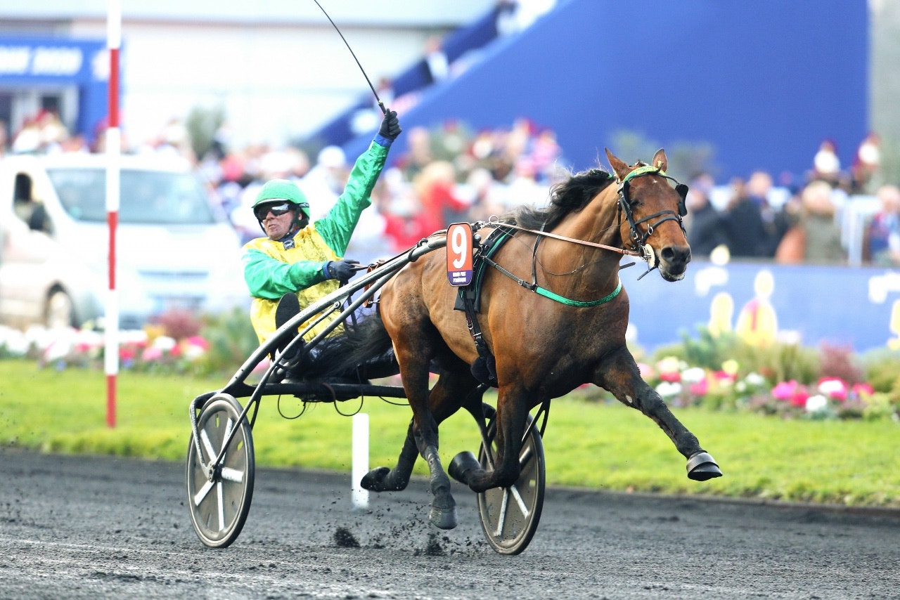 Face Time Bourbon är favoriten att ta hem Prix De France - Foto: ALN