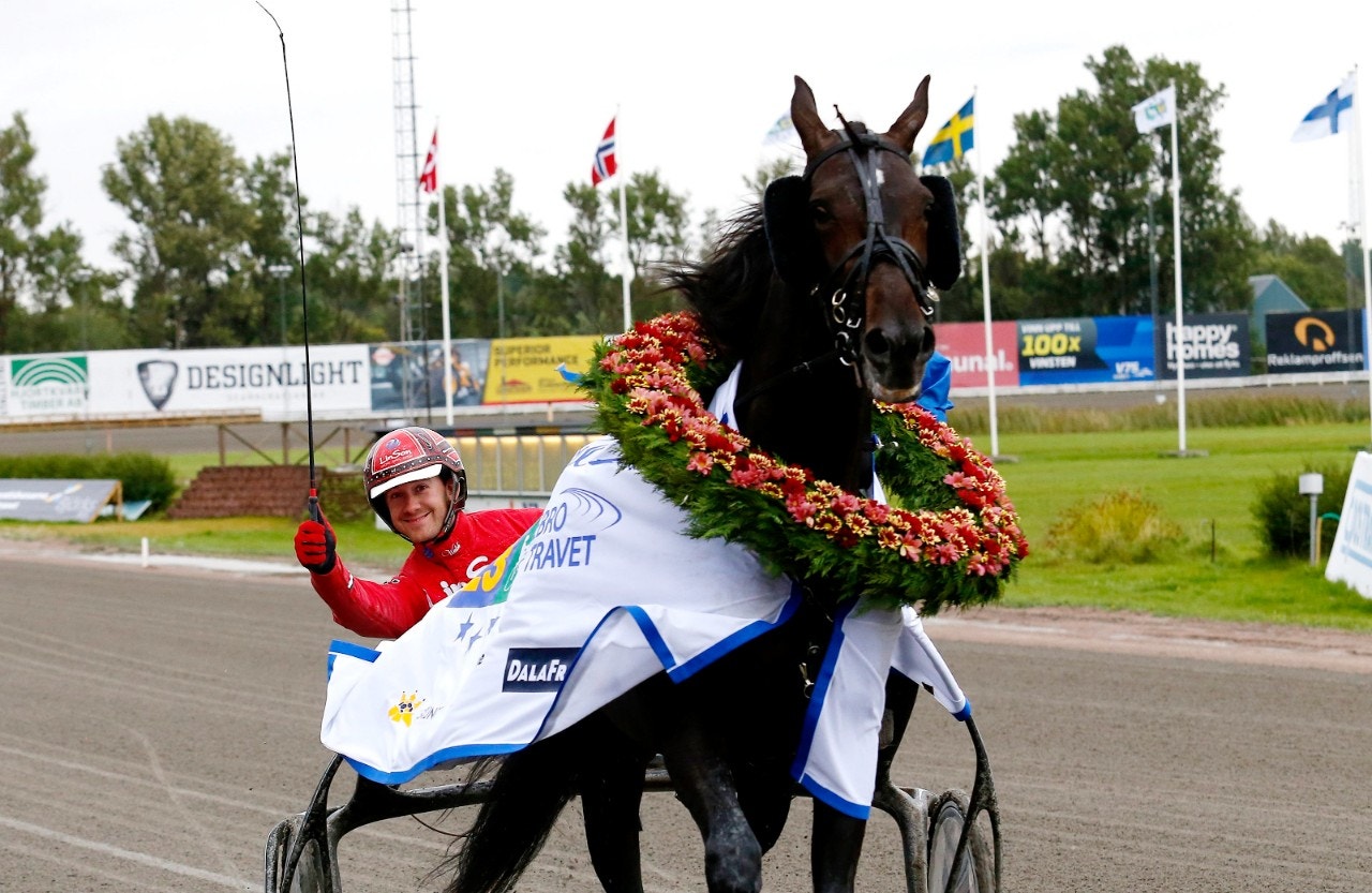 Aetos Kronos gjorde det igen - tog en ny storloppsseger i Kungapokalen. Foto: Hanold, ALN