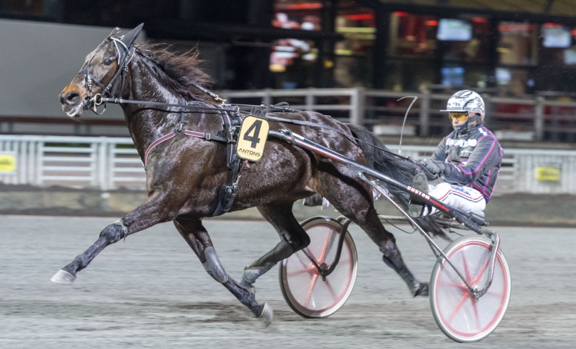 Jägersro/Solvalla 30 september: Super Sarah ska mosa alla!