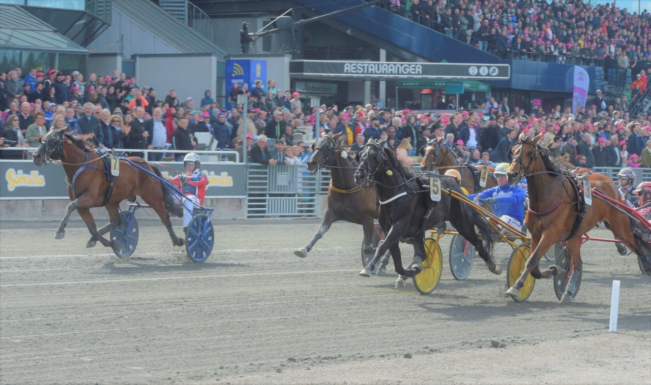 Queer Fish exploderade längst ut i banan för att hinna fram till skrällseger i finalen av Sweden Cup. Foto: Leif Norberg, ALN