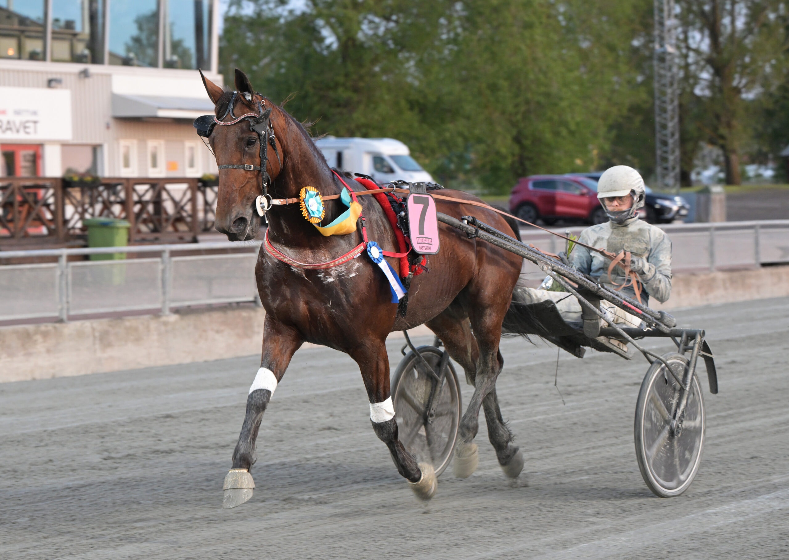 Foto: Lars Jakobsson / TR Bild.