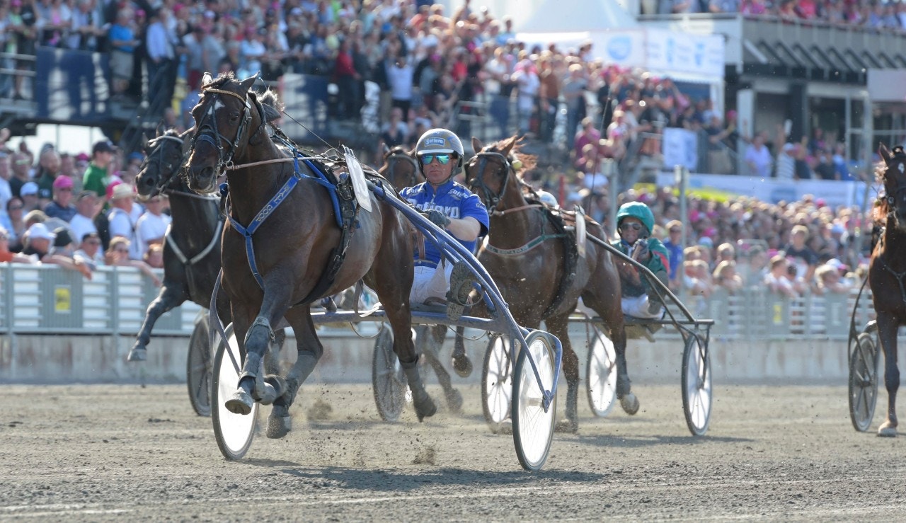 Sauveur vid segern i Harper Hanovers lopp 2017. Foto: Leif Norberg, ALN