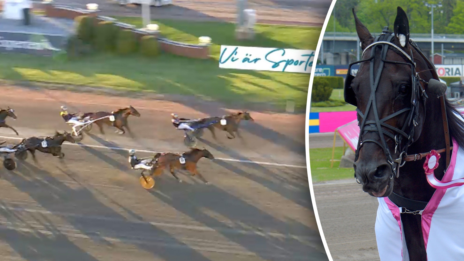 Don Fanuccis första finalist och miljonär