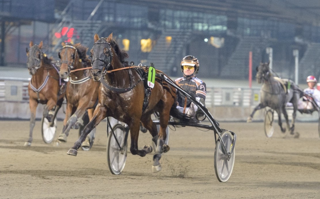 Speedy Tilly är spelet i Bronsdivisionen. Foto: Tommy Andersson, ALN