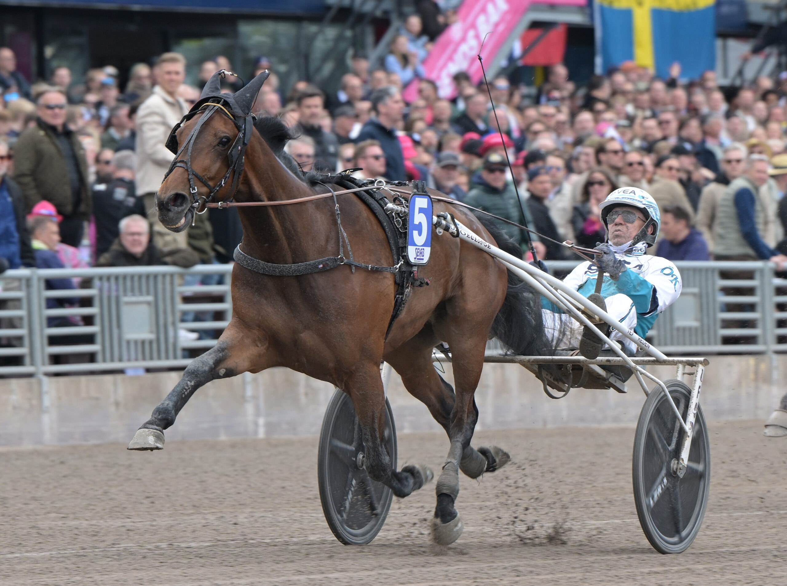 Foto: Lars Jakobsson TR Bild