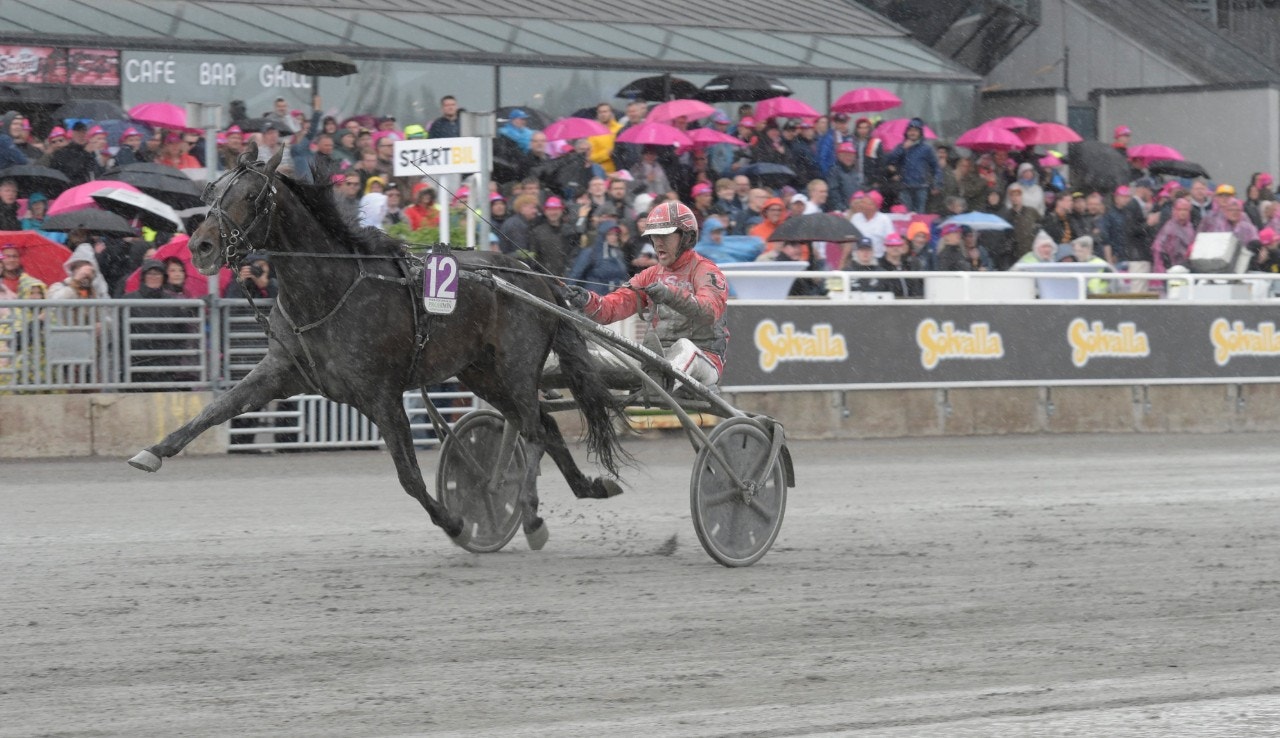 Aetos Kronos vid segern i finalen av Breeders Course i fjol. Foto: Tommy Andersson, ALN