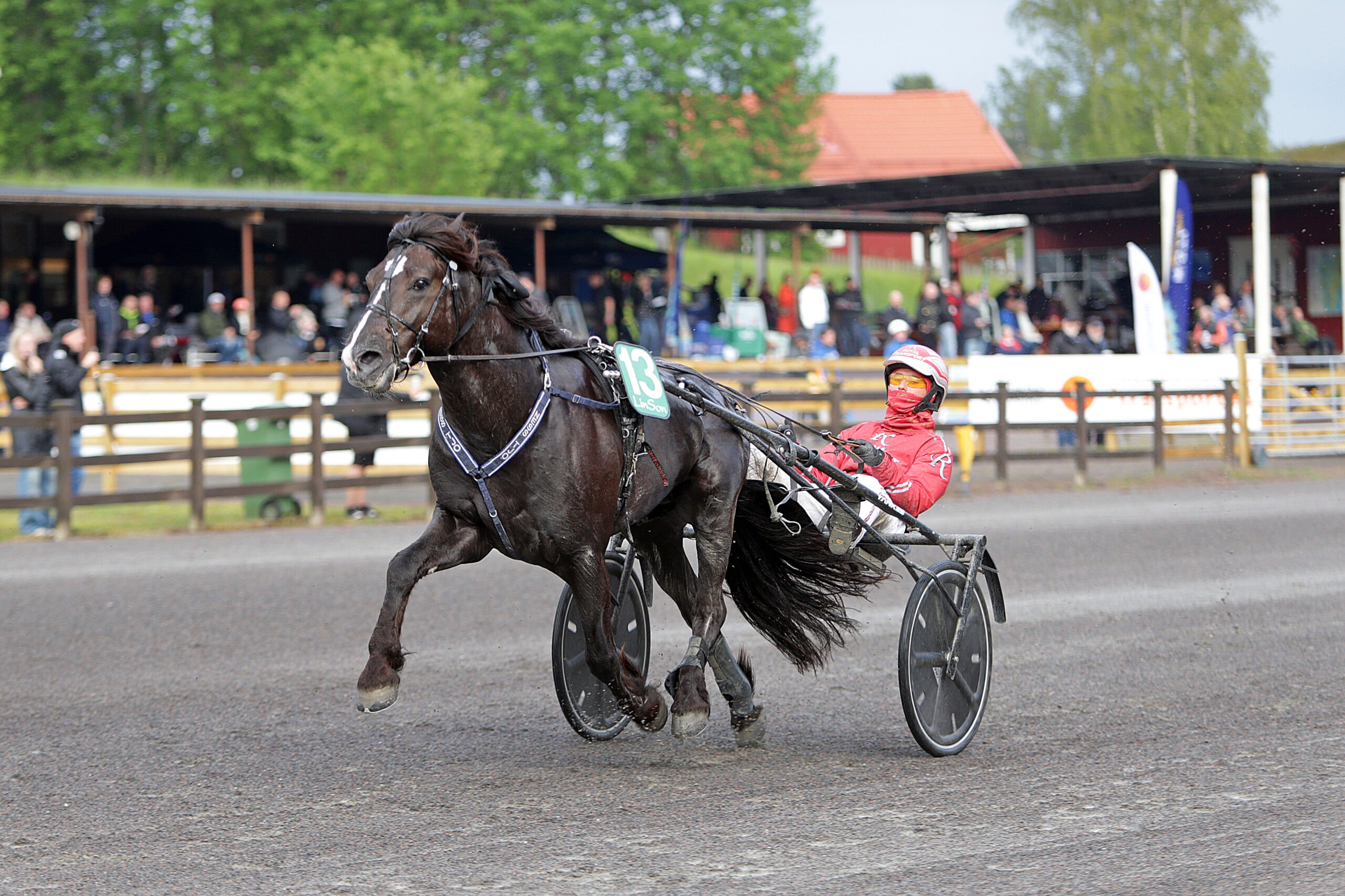 Foto: Matilda Öhrman, ALN