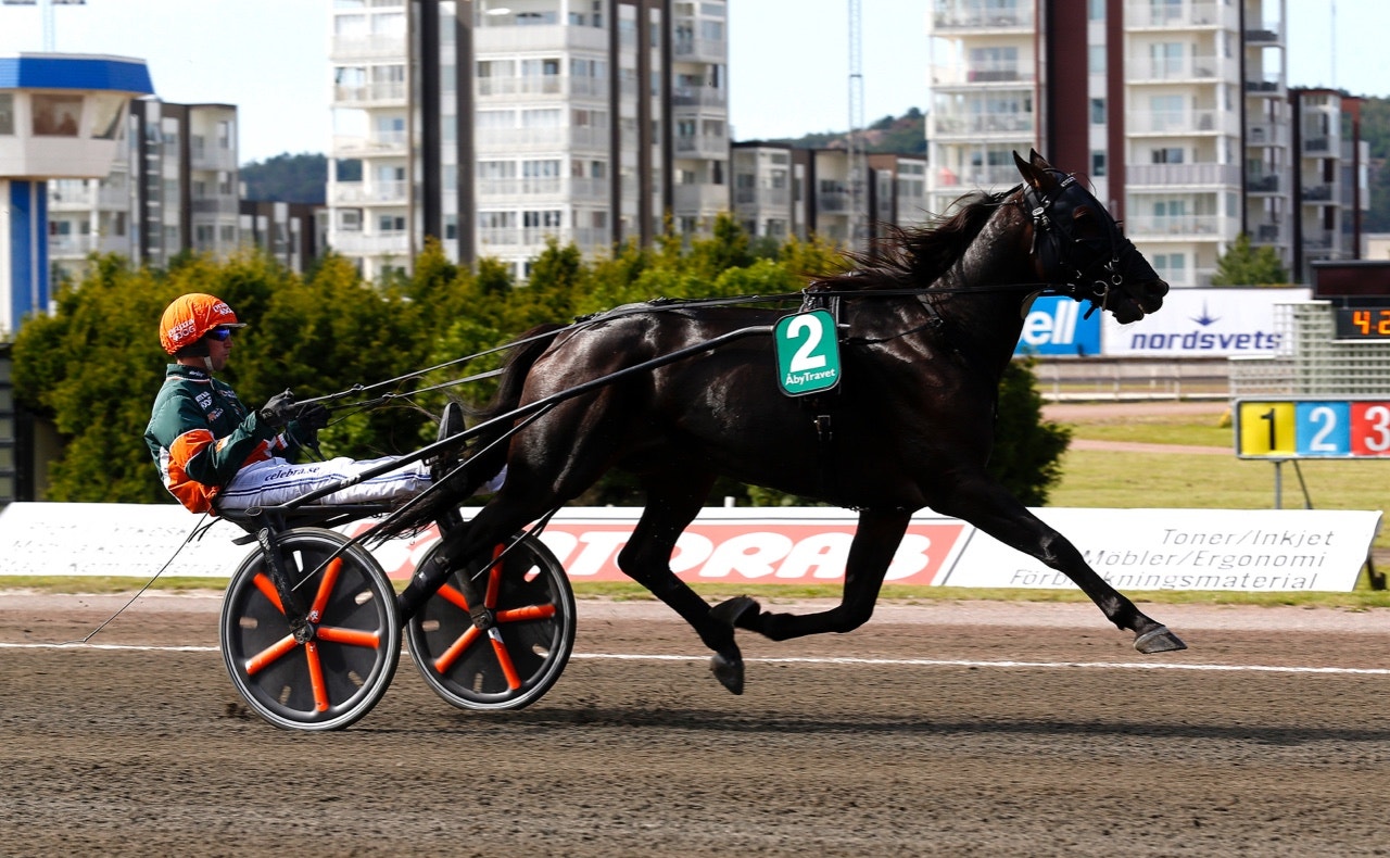 Stoletheshow står över Finlandia-Ajo - Foto: ALN