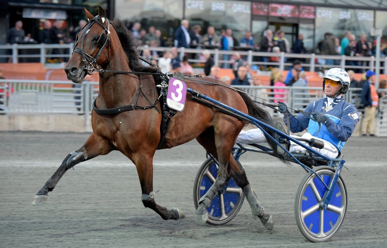 Calina, här med Frode Hamre, segrade på Vincennes. Foto: Martin Langels, ALN