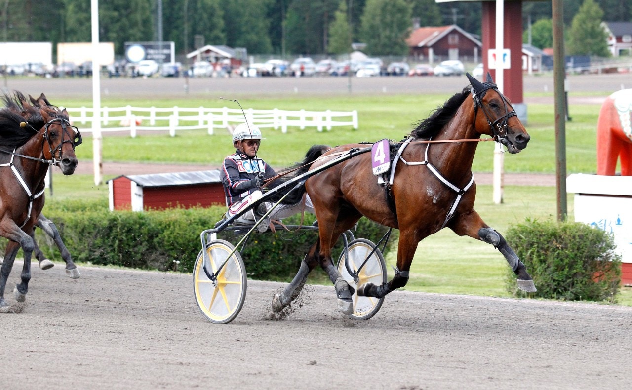 Qahar Q.C. vid en av sina segrar. Foto:  Fredric Gustafsson, ALN