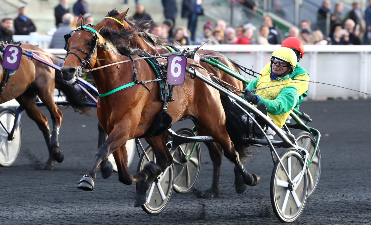Nu är det klart att Björn Goop fortsätter att köra Face Time Bourbon under vintermeetinget. Foto: Gerard Forni, Scoop Dyga