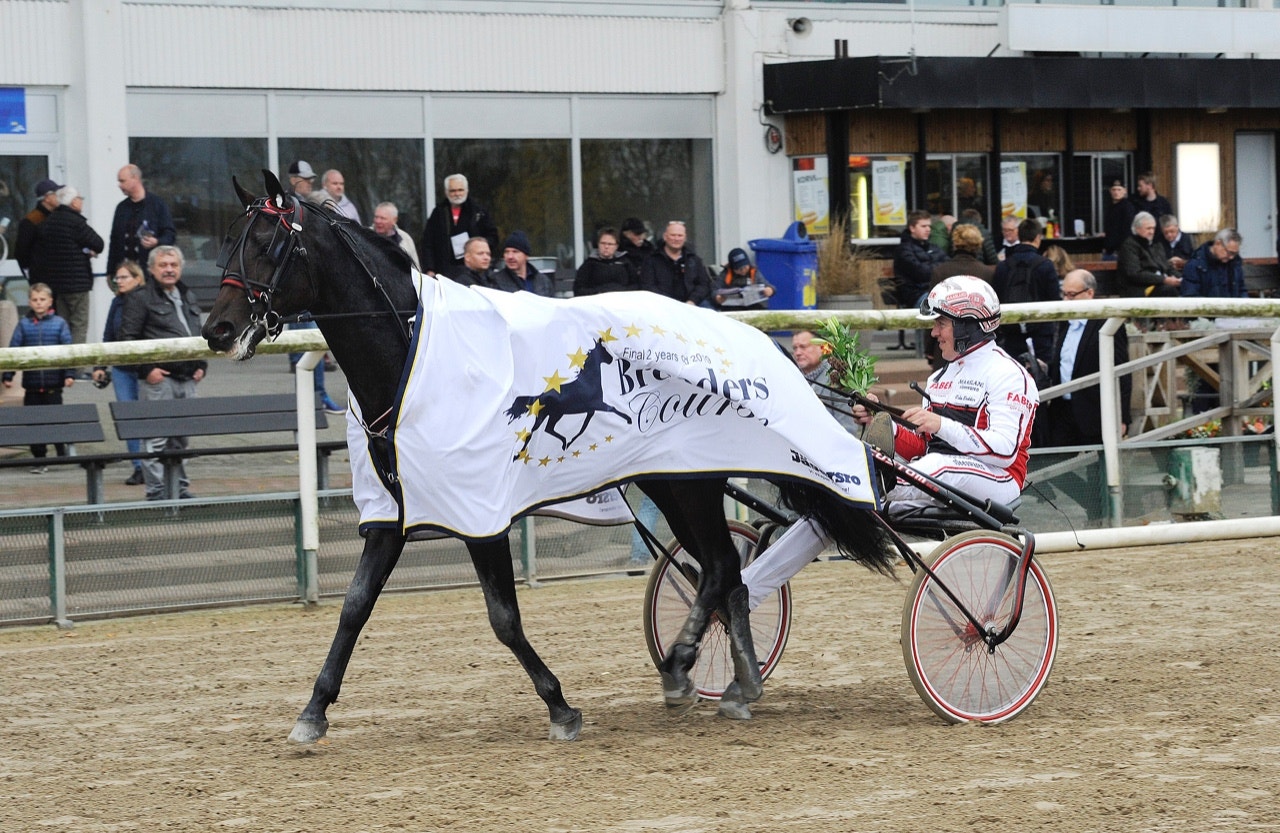 Robin Bakker körde Kuyt F.Boko i Breeders Course och lyckades lösa uppgiften på bästa sätt - Foto: ALN