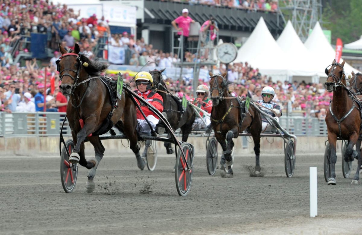 (135735) Bold Eagle mål försök (1) (1)