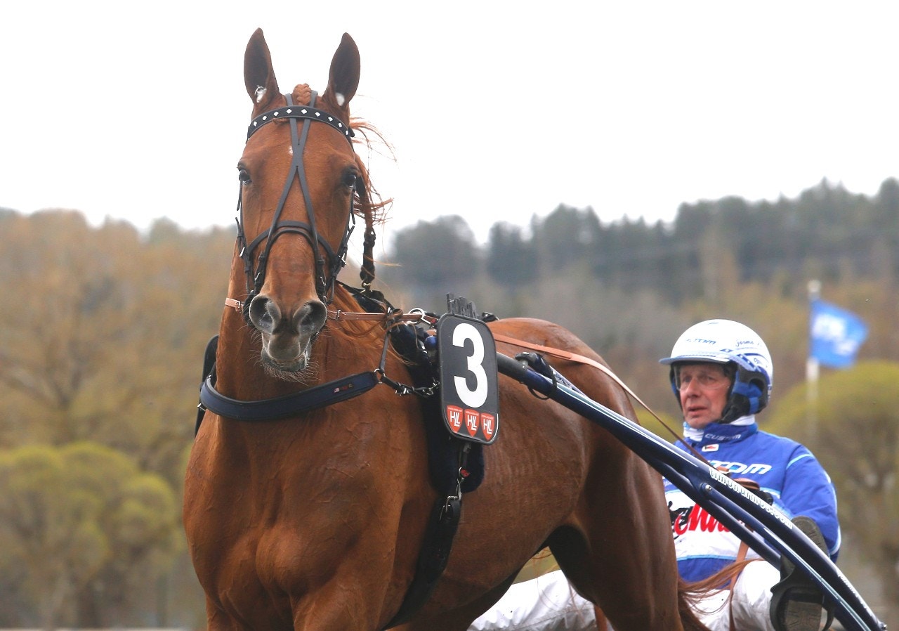 Nurmos-talangen död