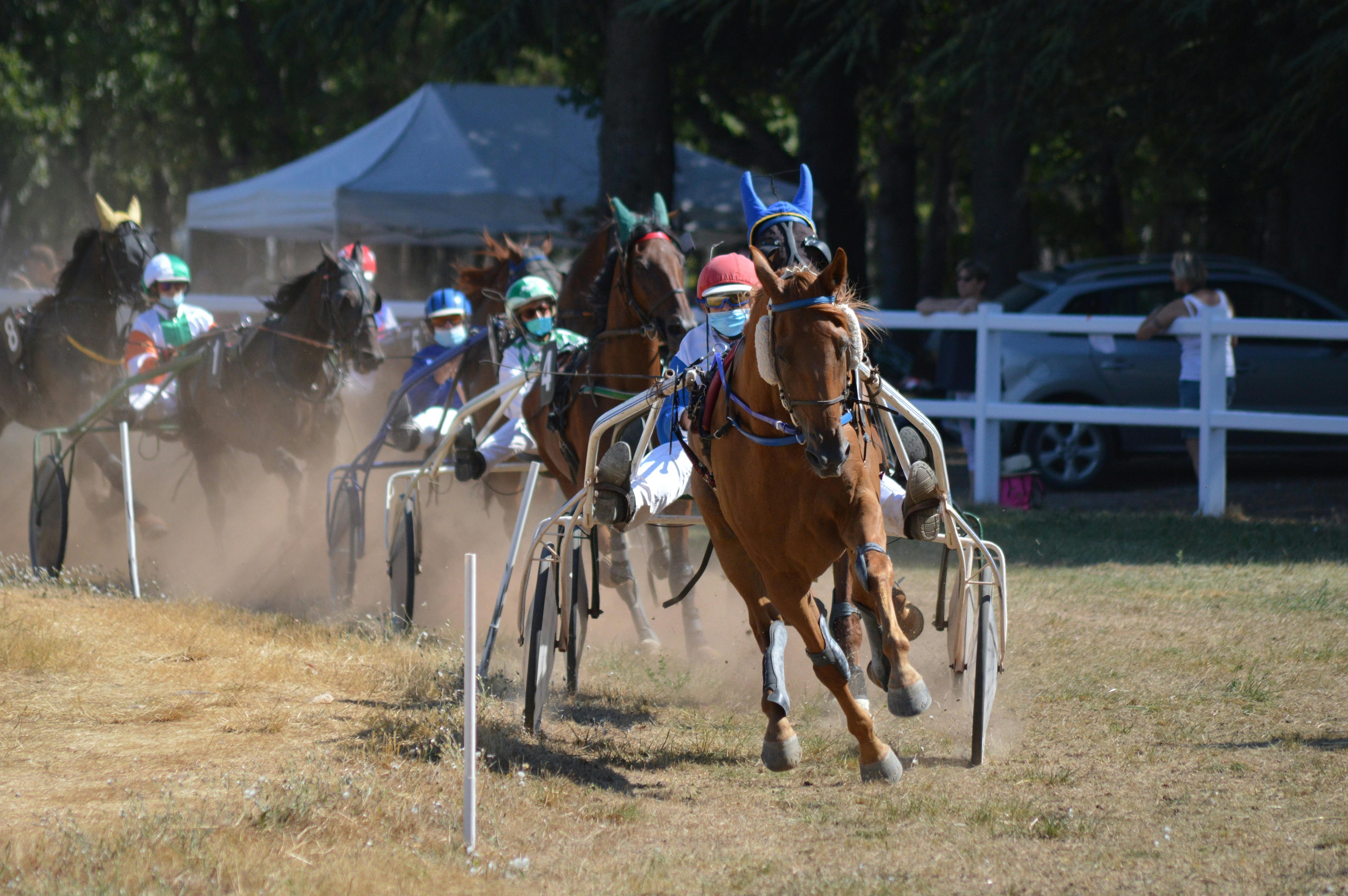 5 saker travfans kan relatera till i OS